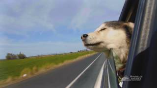 What Drives You Low Rate Auto Loans |Mountain America Credit Union
