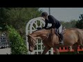 Havens Schatt & Cascartini | $10,000 GAIG USHJA International Hunter Derby