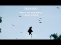 view Field in Focus: Flying Foxes digital asset number 1