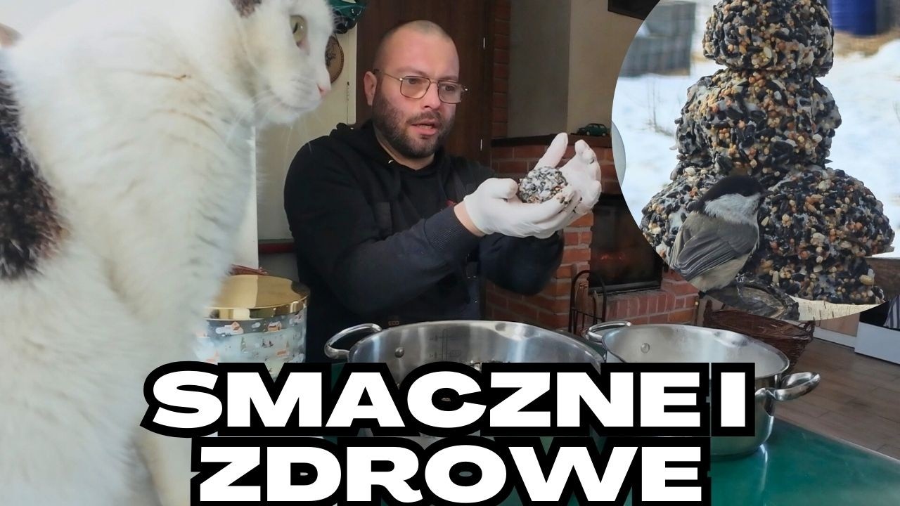 Robimy kule tłuszczowe dla leśnych ptaków