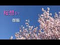 桜想い(MUSIC VIDEO)