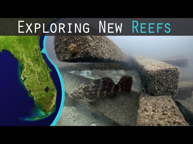 Exploring New Fishing and Diving Reefs Offshore Ponte Vedra Beach