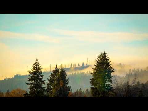 Foggy Afternoon Timelapse | 4K