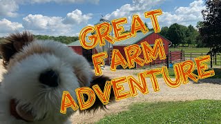 Farm, Animals, Hard Work- Virtual Field Trip