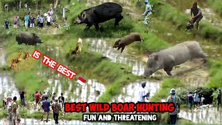 MOMENT BERBURU BABI HUTAN TERBARU PALING SERU DAN MEMEGANGKAN||BEST WILD BOAR HUNTING ‼️