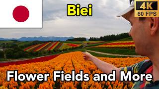 Japan - Episode 2 - Biei Flower Fields, Alpaca Farm, Waterfall, Blue Pond, Shinto Shrine