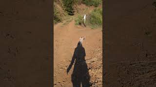 Paseitos en Cahuil 🇨🇱 #nomadedigital #ViajeconGato #Pichilemu #metodoglean #gleaner #Dji