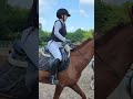 I Haven T Ridden A Horse For A Long Time I Haven T Ridden A Horse For A Long Time