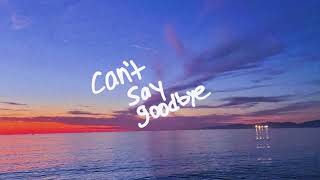 Video thumbnail of "sammy rash - can't say goodbye (official audio)"