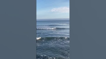 Thumbnail of Now that’s quite the A-frame! #DogBeach #SantaCruz #summerswell #surfing