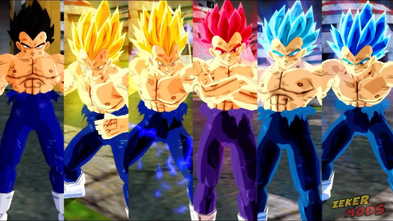 Vegeta Ultra Damaged SSJ,SSJ2,SSJGod,SSJBlue,SSJBlue Evolution