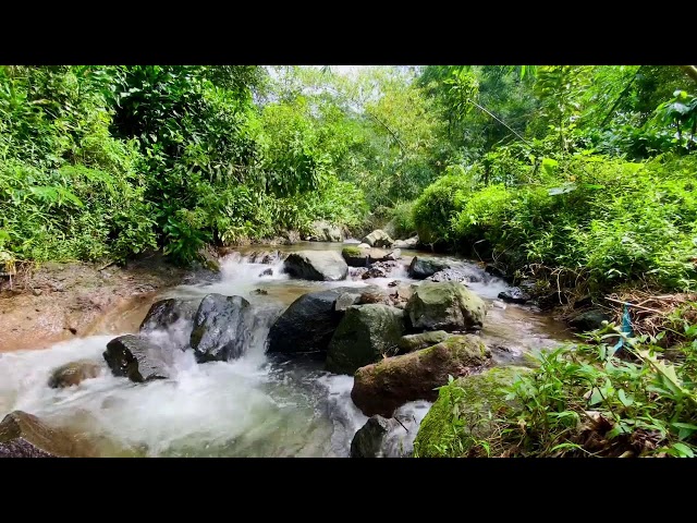 sound river Beautiful Mountain River Flowing Sound. Forest River, Relaxing Nature Sounds/Sleep/Relax class=