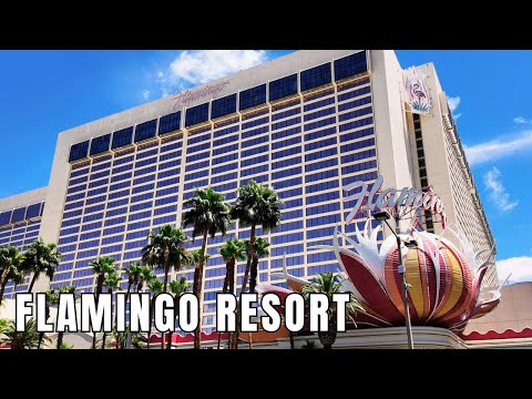 888casino.es™ - Juega con el 8: Programa 10.10.2020