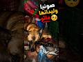 وليداتها مشاو عند الله هدا هوا سبب