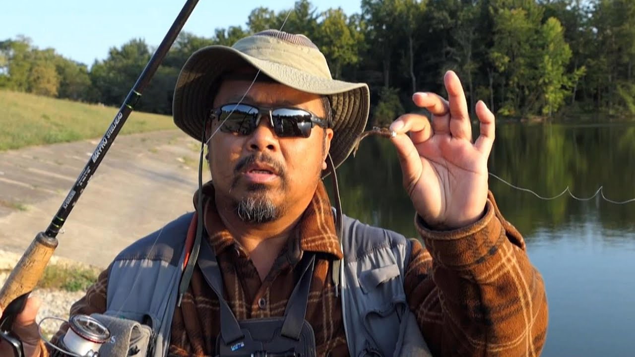 Bass Fishing From Reservoir Bank In September 2024!!