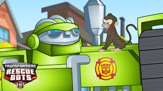Boulder meets a Monkey 🐵🚨 Kids Cartoon | Transformers Rescue Bots | Transformers TV