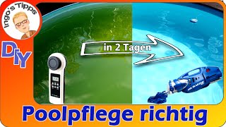 Pool Grunes Wasser Reinigung Tipps U Anleitung Mit Test Poolblaster Max U Poollab 1 0 Ingostipps Youtube