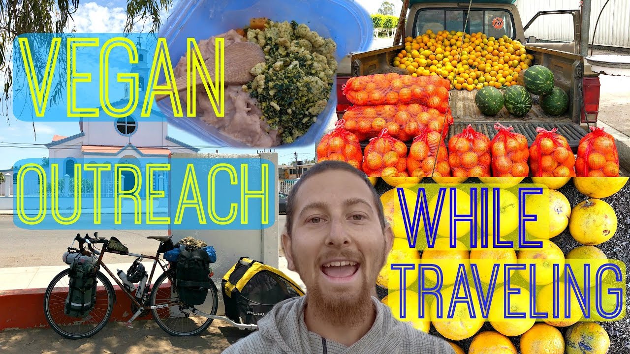 VEGAN ACTIVISM While Traveling as a Digital Nomad