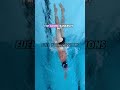No one ever got slower from eating too much #ironmantriathlete #ironman #swimming #swim