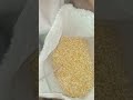 ACE SEEDS Faisalabad
