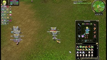 flyff universe Mage skill build SOLO FAST LVL ( ON DISCRIPTION )