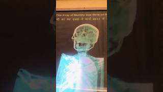 2300-Year-Old Egyptian Mummy in Jaipur 😱 | Albert Hall Museum Jaipur #shorts