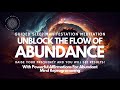 Unblock Your Abundance Today ⚡️🧲 Sleep Manifestation Meditation 😴