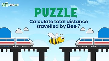 Train & Bee Puzzle