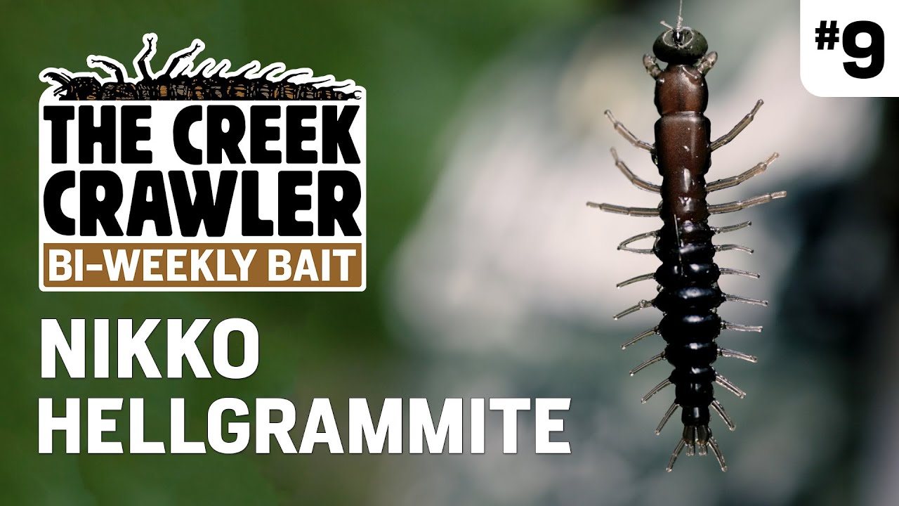 NIKKO Hellgrammite // Creek Crawler's Bi-Weekly Bait # 9 