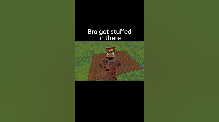 Minecraft Meme