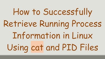 How to Successfully Retrieve Running Process Information in Linux Using cat and PID Files