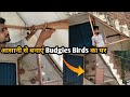 How to make budgies birds cage easy step by step | Make Birds Setup Easy.