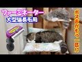 大型猫の長毛種にファーミネーターを使った結果、とんでもない事に！As a result of using a Furminator for a large cat with long hair