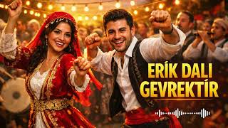 ERİK DALI GEVREKTİR | Anatolian Folk Fusion 🔥 Ankara Havası / Oyun Havası Cover | Hareketli Türküler