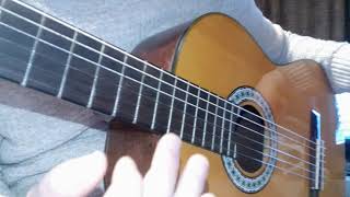 Picados flamenco excercises  #picado #flamenco #guitar #excercises