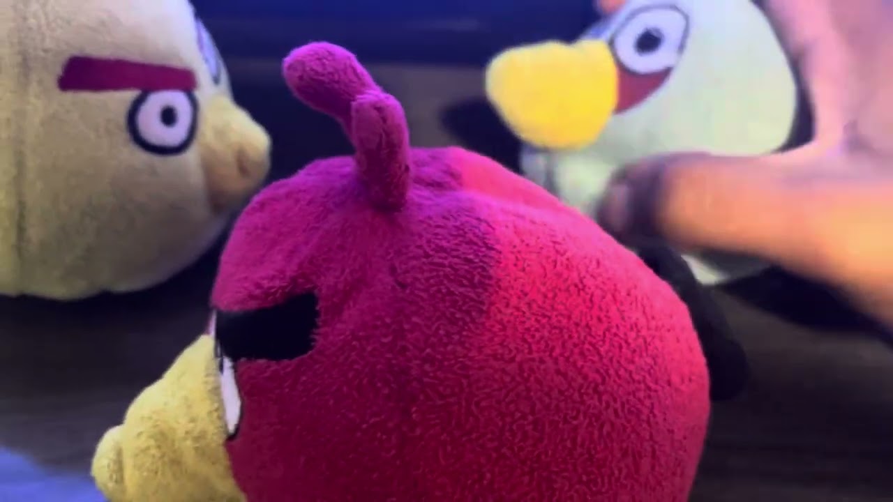 Angry Birds Plush Adventures Returns Tomorrow, in a brand new series!