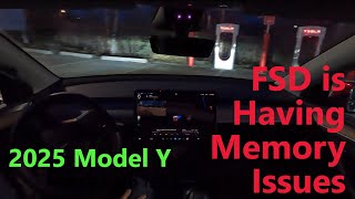 Tesla FSD 13.2.8  Critical Interventions and hallucinations in Alaska screenshot 5