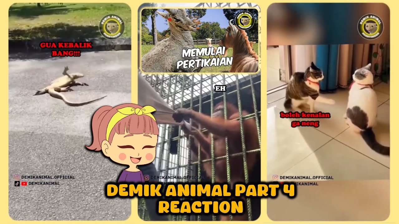 MENYAKSIKAN HEWAN-HEWAN TANTRUM || DEMIK ANIMAL REACTION (PART 4)
