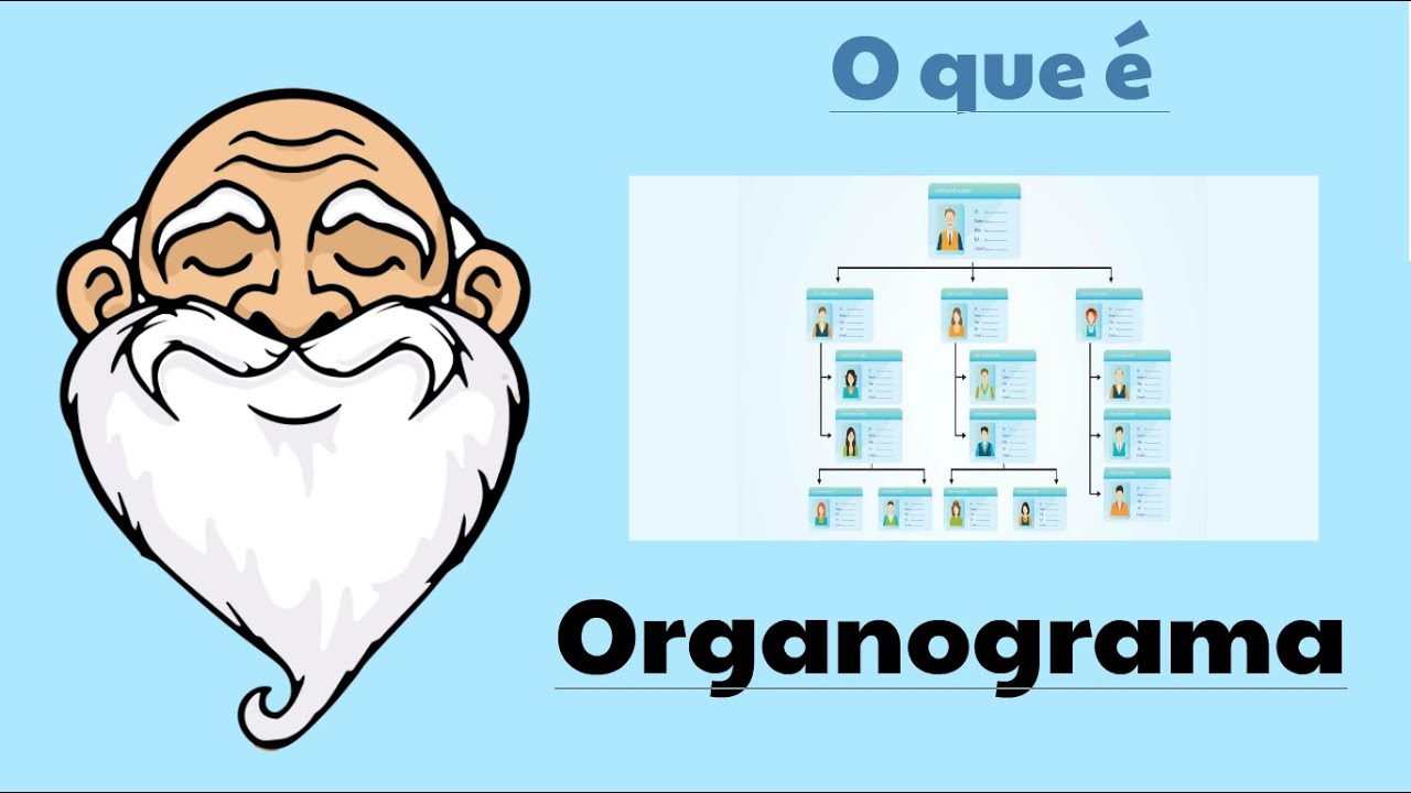o que é Organograma? Qual sua função?