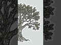 Easy Oak Tree Drawing for Beginners with Chillify