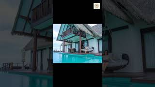 Vedhika New Lookhot&Y