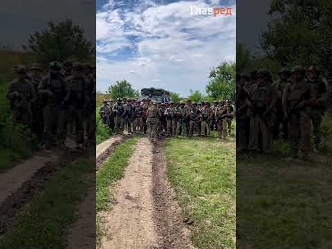 Наши отважные ребята