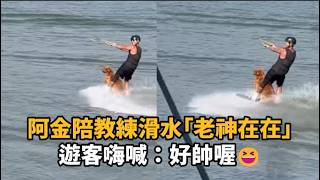 阿金陪教練滑水！穩坐板上「老神在在」遊客嗨喊：好帥喔😆