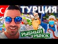 Рыбный рынок в Аланьи 🐟 Цены на рынках в Турции. Большой выбор морепродуктов