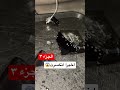 كسر علبة عطر قوية 