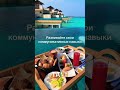 3 правила успеха! #tabb #мотивация #успех #развитие #crypto