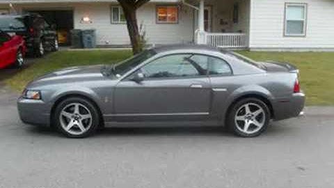 04 mach 1 vs 03 cobra