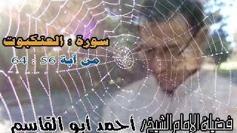 بصوت عزب يتلو فضيلة الإمام الشيخ / أحمد أبو القاسم ما تيسر من سورة العنكبوت من آية 56 الي 64