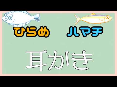 【ひらめとハマチ】7月の耳かき