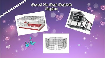 ~`Good Vs Bad Rabbit Cages~`